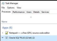SQLPlus disconnected right away with SQLrecorder and Auditor capabilities